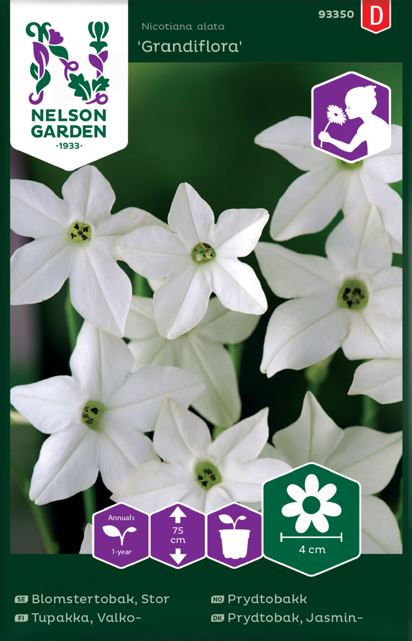 Stor Blomstertobak, Grandiflora, Vit