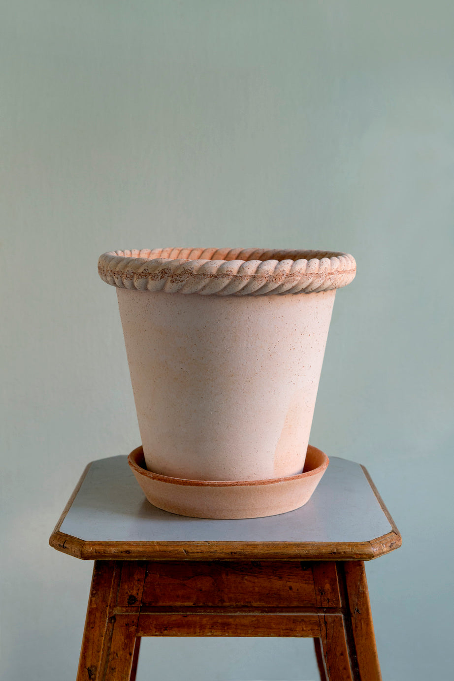 Emilia Rosa