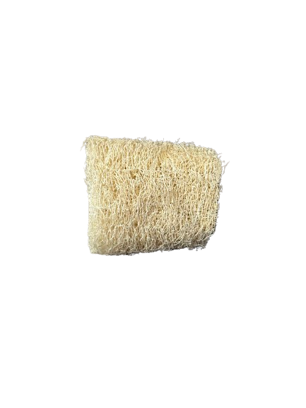 Loofasvamp