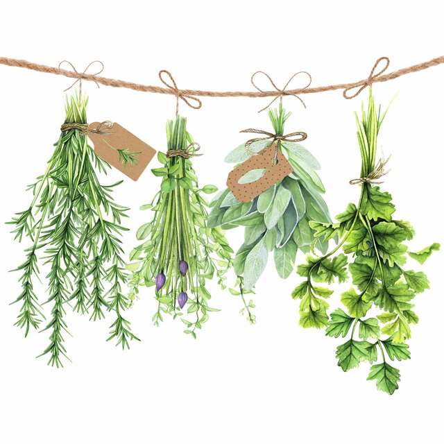 Servetter "Fresh herbs"